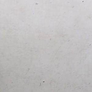 Meet your Posher, Solomon